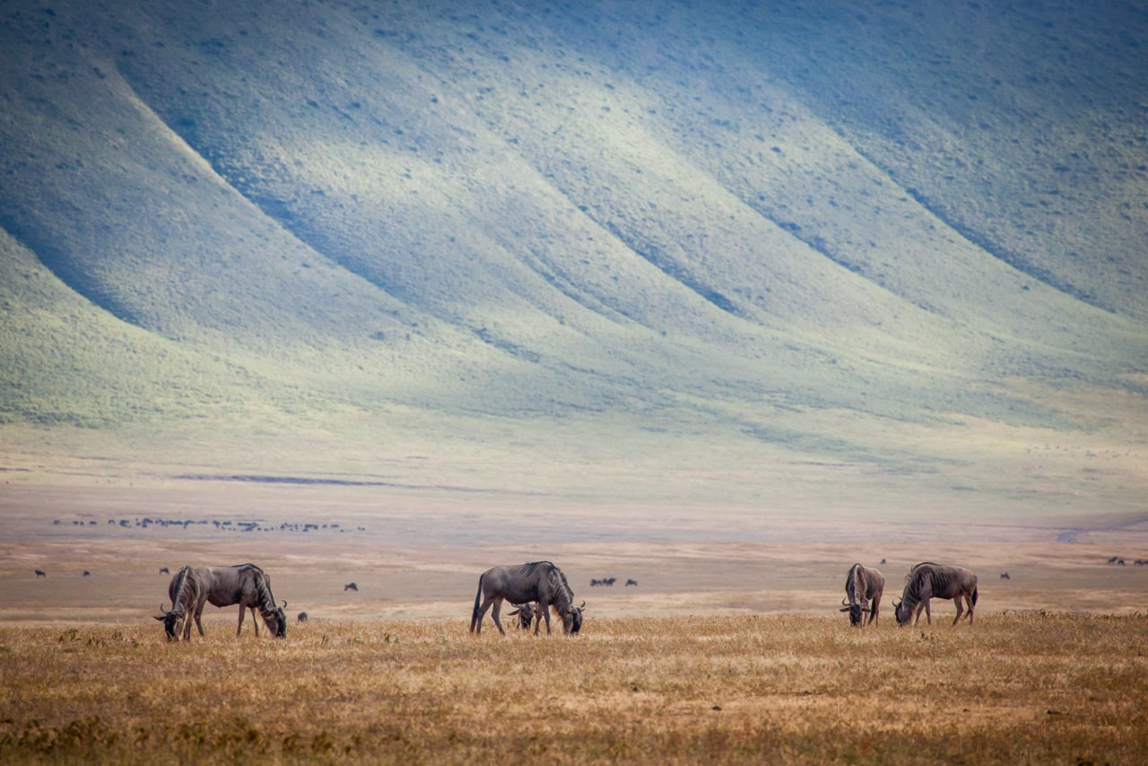 ngorongoro crater