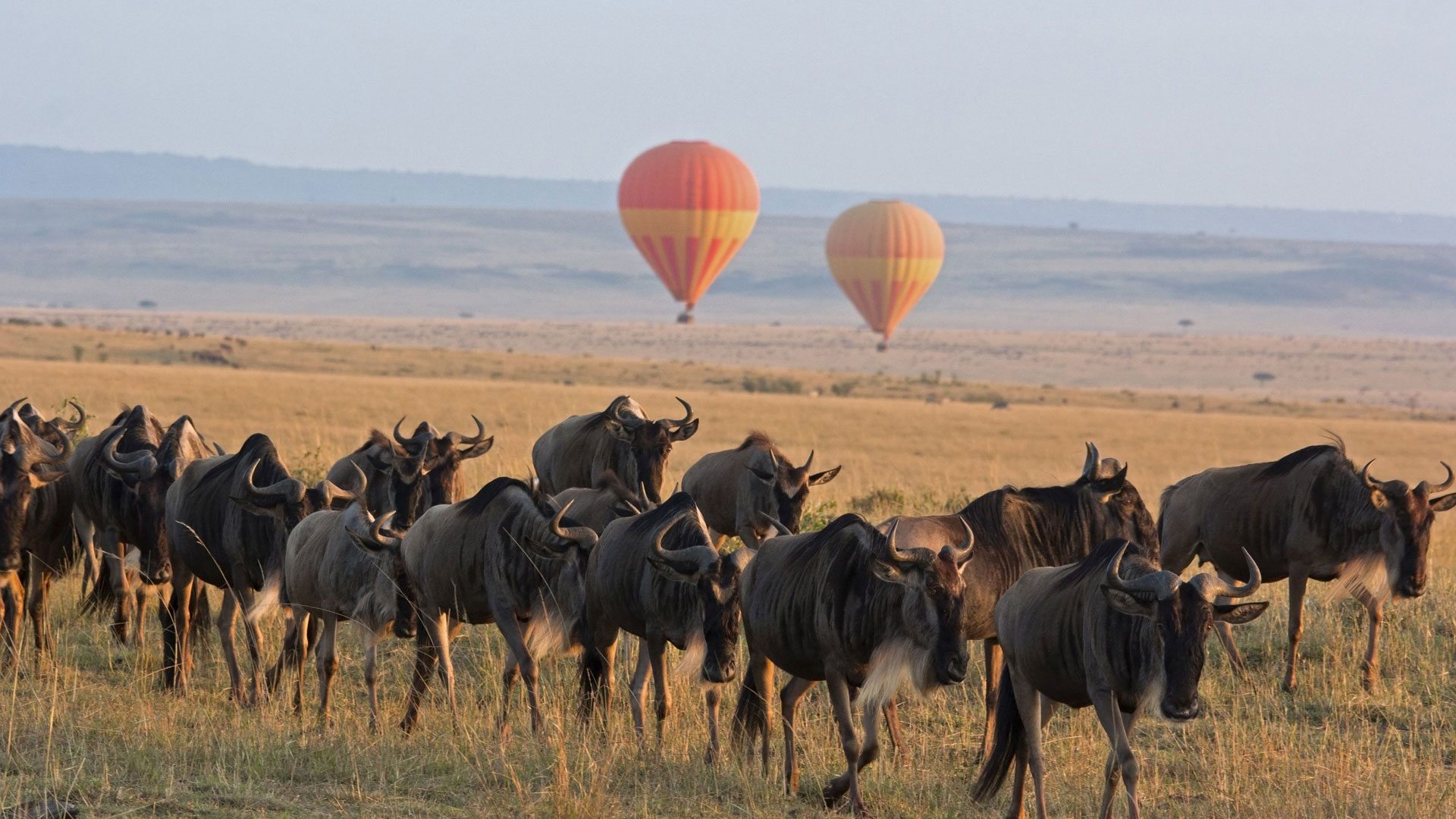 Visit Tanzania
