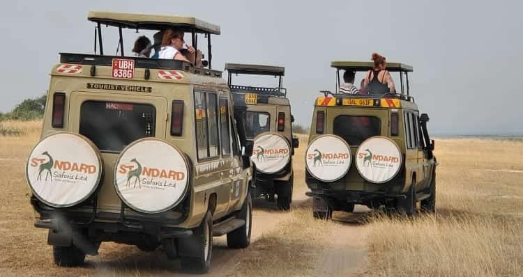 standard-safaris