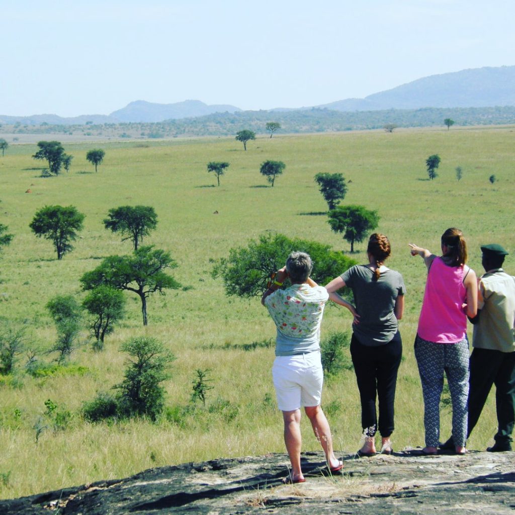 OWAITU AFRIKA SAFARIS LIMITED 1