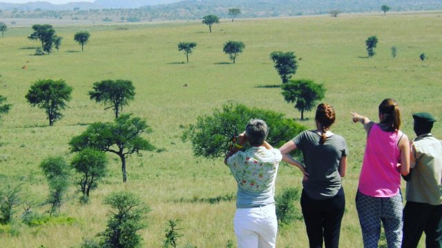 OWAITU AFRIKA SAFARIS LIMITED 1