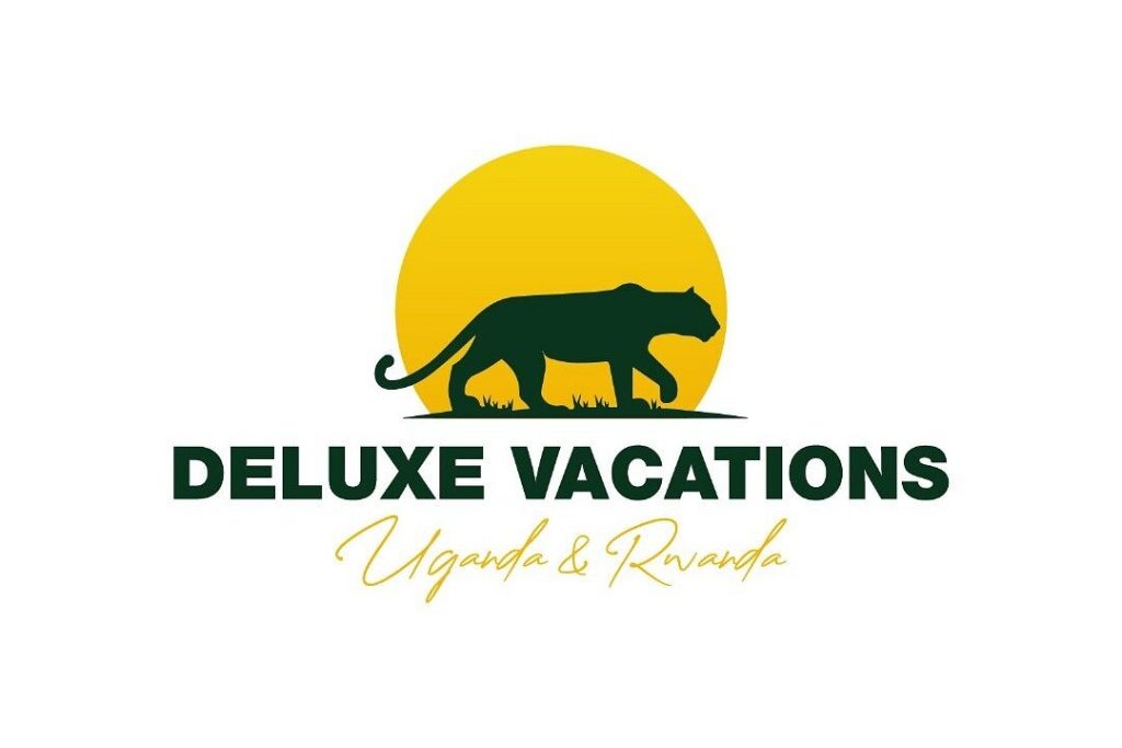 deluxe logo