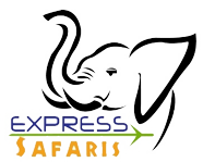 express logo
