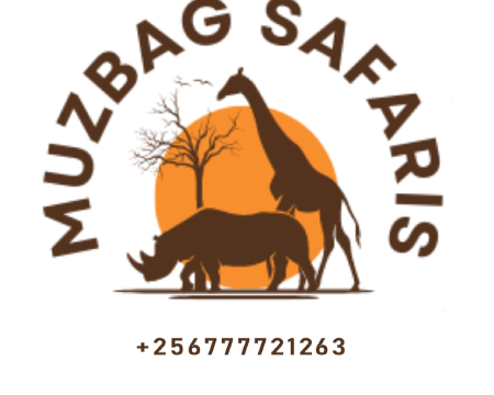 mazbag 2