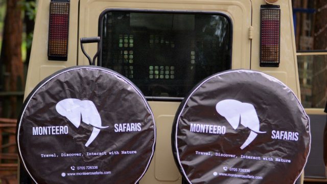monteerosafari-van