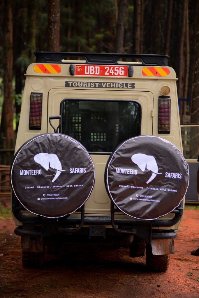 monteerosafari-van