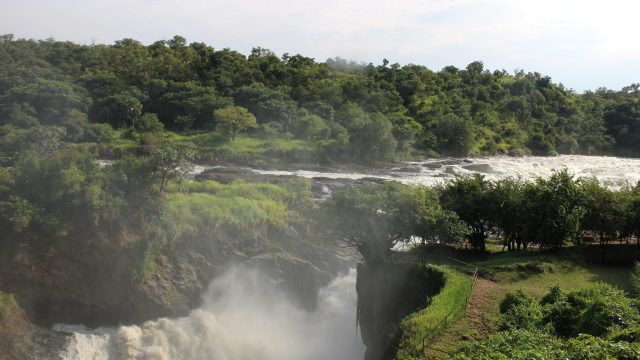 mugenyi 2