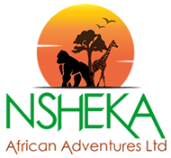 nsheka logo