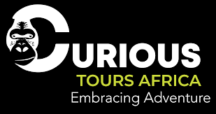 Curious Tours